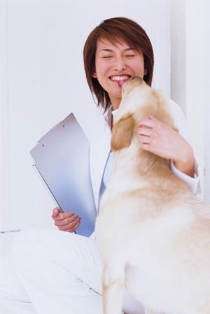 オリジナルの国産のドッグフードが買える