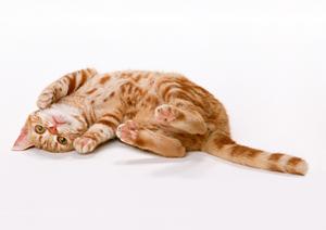 高品位アイテムの販売をしています