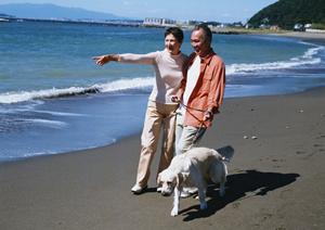 犬のおもちゃを通販で買うおすすめ店は