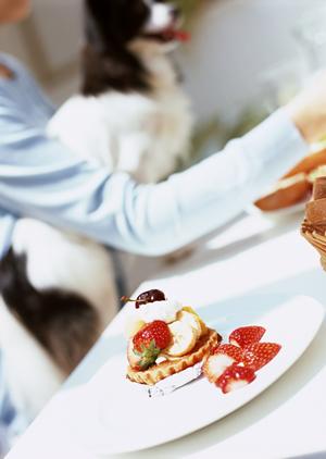 名古屋にある居心地の良い猫カフェ