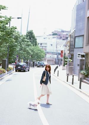 犬用シャンプーをお探しならここが一番